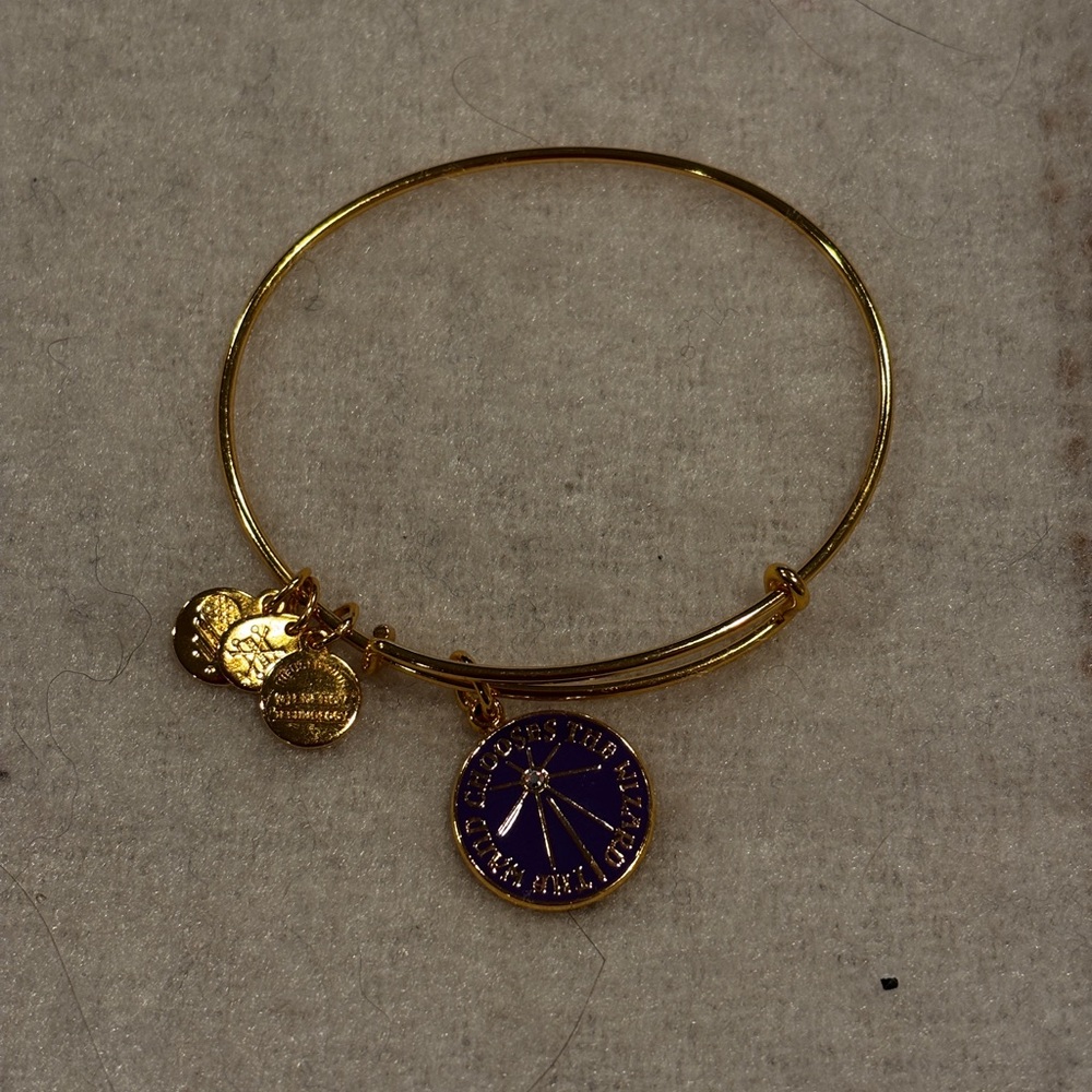 Alex and ani bangle bracelet